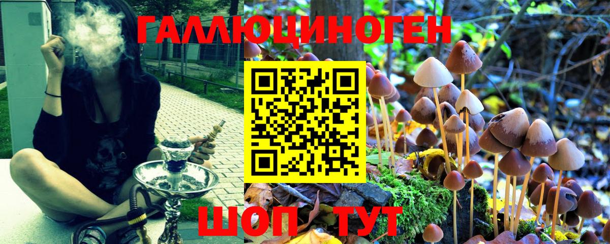 Серов  Галлюциногенные грибы прущие грибы  где можно купить   Вход с VPN  Галлюциногенные грибы Psilocybine cubensis 